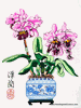 Orchid Cattleya Needlepoint Canvas