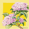 Hydrangea On Yellow Needlepoint Canvas Hydrangea On Yellow Needlepoint Canvas