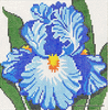 Iris Needlepoint Canvas Iris Needlepoint Canvas