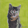 Tabby Needlepoint Canvas