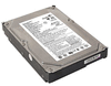 ST380013A ST380013A