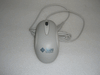 371-0788**Out of Stock** 371-0788**Out of Stock**