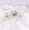 LILY Pin LILY Pin