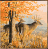 Throw Caution to the Wind by Gregory Alexander Throw Caution to the Wind by Gregory Alexander
