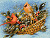 Holly Basket Cardinals by Barbara Mitchell Holly Basket Cardinals by Barbara Mitchell