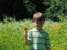 Even Boys have fun with Flowers!