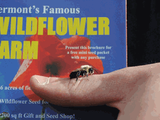 A Bit of Free Promotional Work!