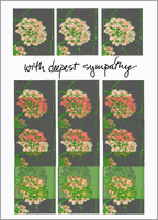 Sympathy Blossoms Sympathy Blossoms