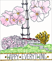 Washington Cherry Blossom Washington Cherry Blossom