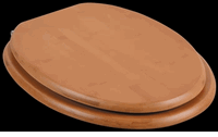 Toilet Seats, Dark Bamboo Elongated Toilet Seat, Chrome Hinge