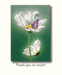 Thank You So Much! Thank You So Much!