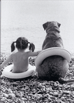 Girl and Dog in Tubes Girl and Dog in Tubes