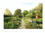 Walk through a garden Walk through a garden