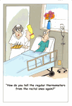 Rectal Thermometer Rectal Thermometer