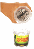 Magnifying Bug Viewer Magnifying Bug Viewer