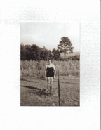 Grandma Scarecrow Grandma Scarecrow