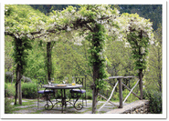 Set Table and Flower Trelis Set Table and Flower Trelis
