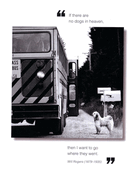 Dog waiting for bus Dog waiting for bus