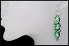 Blue Lunas Earrings Blue Lunas Earrings