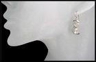 Dolphin Dream Earrings Dolphin Dream Earrings