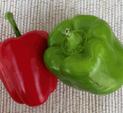 California Wonder Sweet Bell Pepper California Wonder Sweet Bell Pepper
