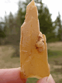 Himalayan Yellow Quartz aprox 14 grams x 53 mm HY-23 Himalayan Yellow Quartz aprox 14 grams x 53 mm HY-23