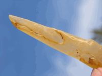 YR-12 Tibetan Yellow **TRIGONOMIC** Quartz ..Self Healer YR-12 Tibetan Yellow **TRIGONOMIC** Quartz ..Self Healer