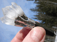 GG-2 Tibetan Black Quartz.. **RARE** Flower Quartz Wand GG-2 Tibetan Black Quartz.. **RARE** Flower Quartz Wand