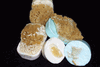 Olive Oil-Goats Milk with Sea Sponge-6oz Olive Oil-Goats Milk with Sea Sponge-6oz