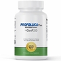 Profollica Plus With Millet Extract by GenF20, 60 Capsules, Leading Edge Health