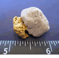 Aussie gold in quartz specimen 9.02 grams (SOLD)