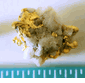 8.17 gram Beauty - Australian Gold Nugget Specimen (SOLD)