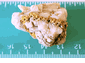 33.74 gram Monster - Australian Gold in Quartz (SOLD)