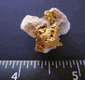 Aussie Gold and Quartz Specimen 10.41 grams (SOLD)