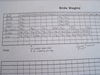 FREE Downloadable Birdie Weights Log *PDF FREE Downloadable Birdie Weights Log *PDF