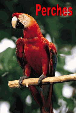 Perches Perches