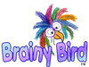 NEW! Brainy Bird Toys