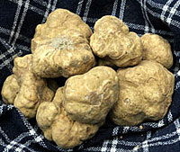 Truffles