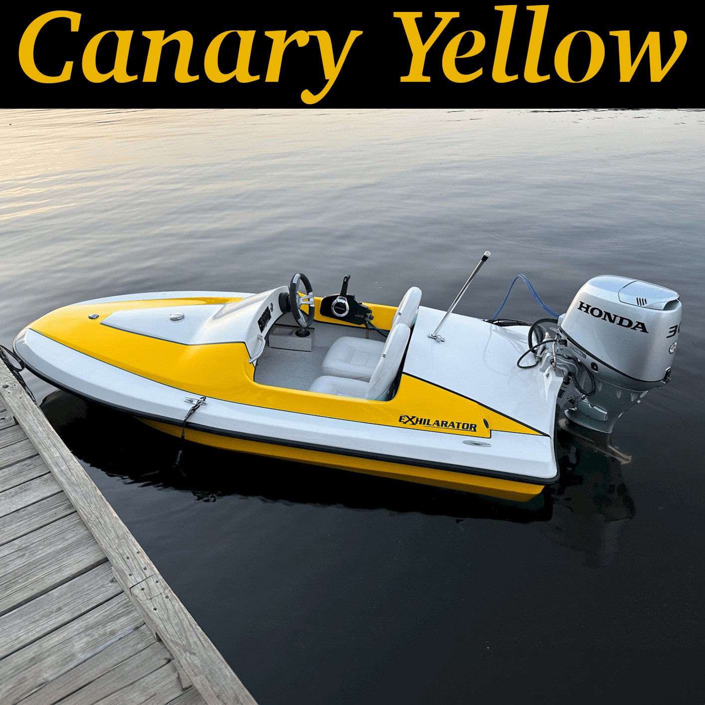 Canary Yellow