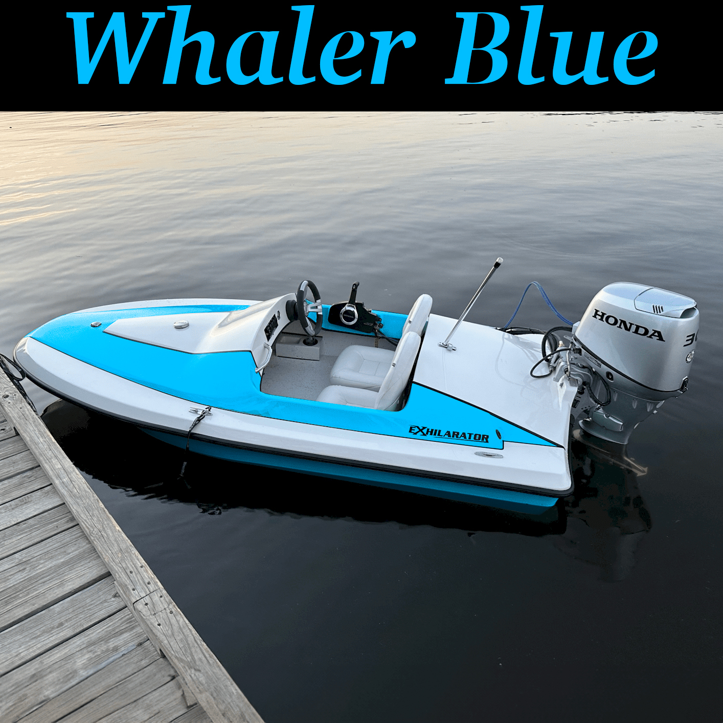 Whaler Blue