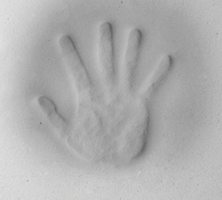 Recaro Roadster Convertible Car Seat - Marine -Stroller Promotion Store recaroroadster thisitemwill memoryfoam