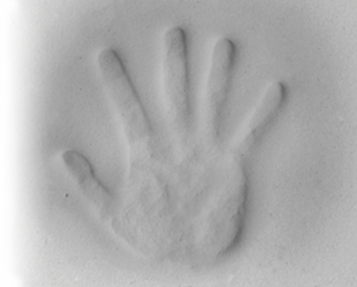 Recaro Roadster XL Convertible Car Seat - Aluminum Gray -Stroller Promotion Store recaroroadsterxl memoryfoam