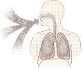 Gases