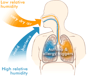 Effects of humidity on lungs