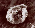 Particulate matter