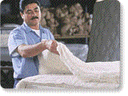 Royal-Pedic Staple Cotton Padding