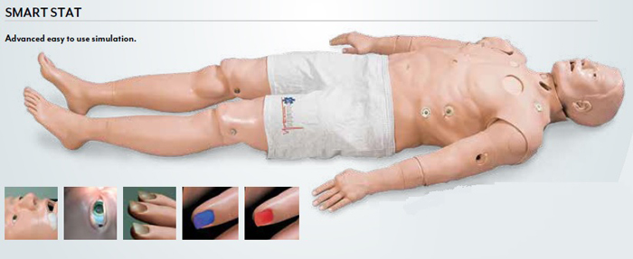 Stat Manikin Series