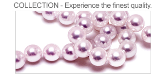 CELEBRATING 55 YEARS OF BUSINESS