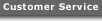 Customer Service