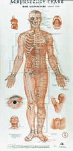 Acupuncture needles are used in specific points on the body.